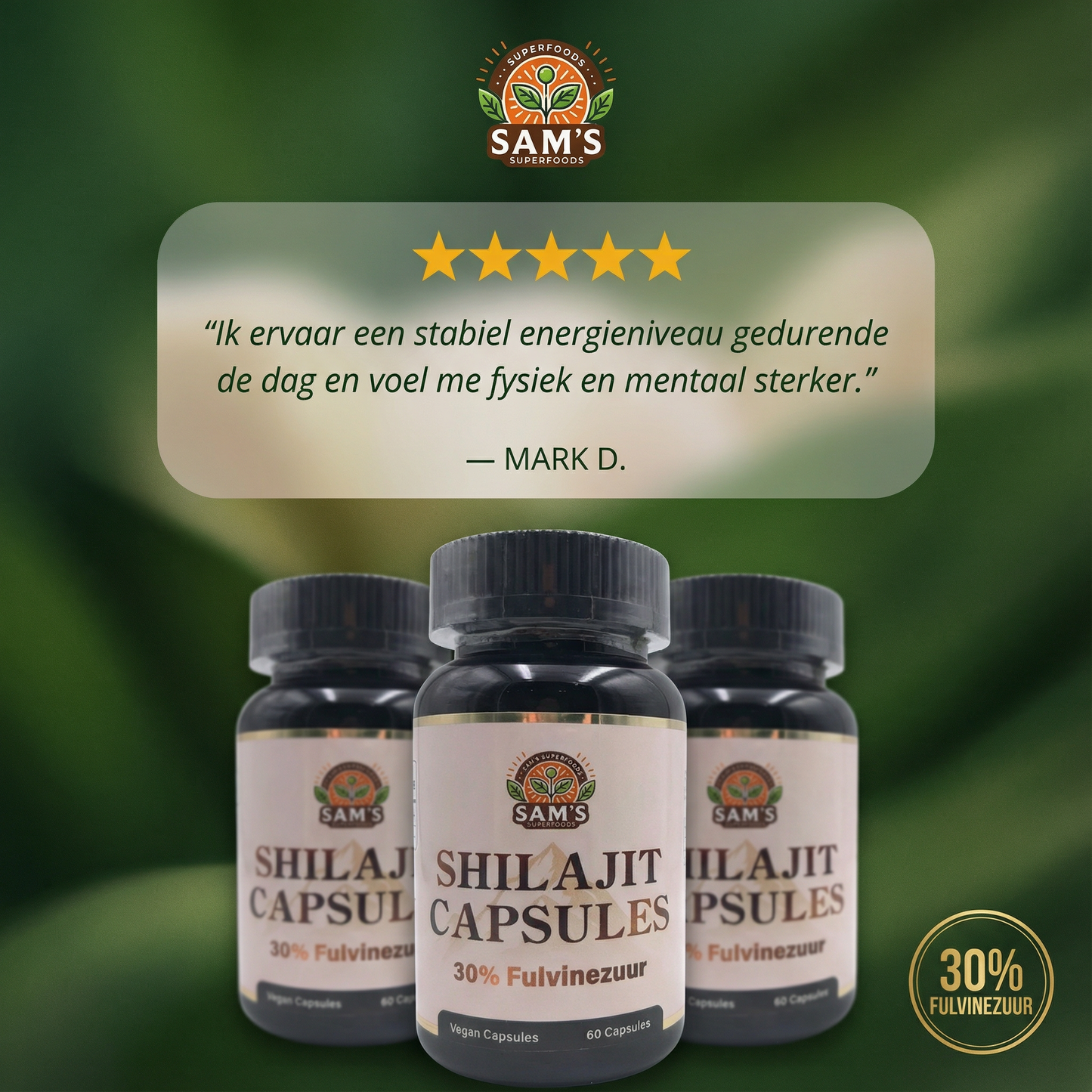 Shilajit Capsules - 30% Fulvic Acid - 500 mg