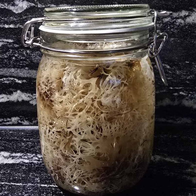 Irish mos ( Iers moss ) - Biologisch