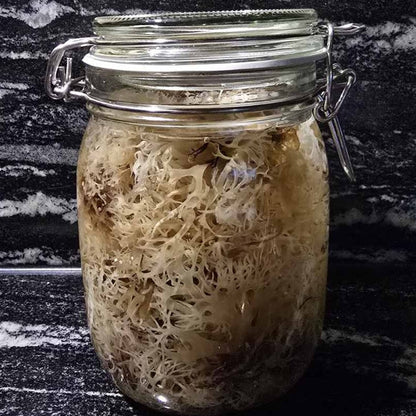 Irish mos ( Iers moss ) - Biologisch